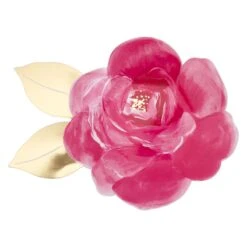 Meri-Meri Rose Garden Plates (x 8) -Meri Meri media 22620a17 7a8c 4a6b b6a7 8f2c5e773624