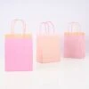 Meri-Meri Pink Fringe Party Bags (x 8)