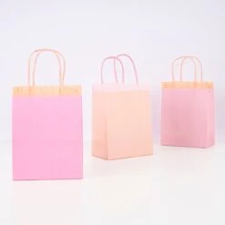 Meri-Meri Pink Fringe Party Bags (x 8)