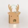 Meri-Meri Small Reindeer With Stars Gift Bags (x 2)